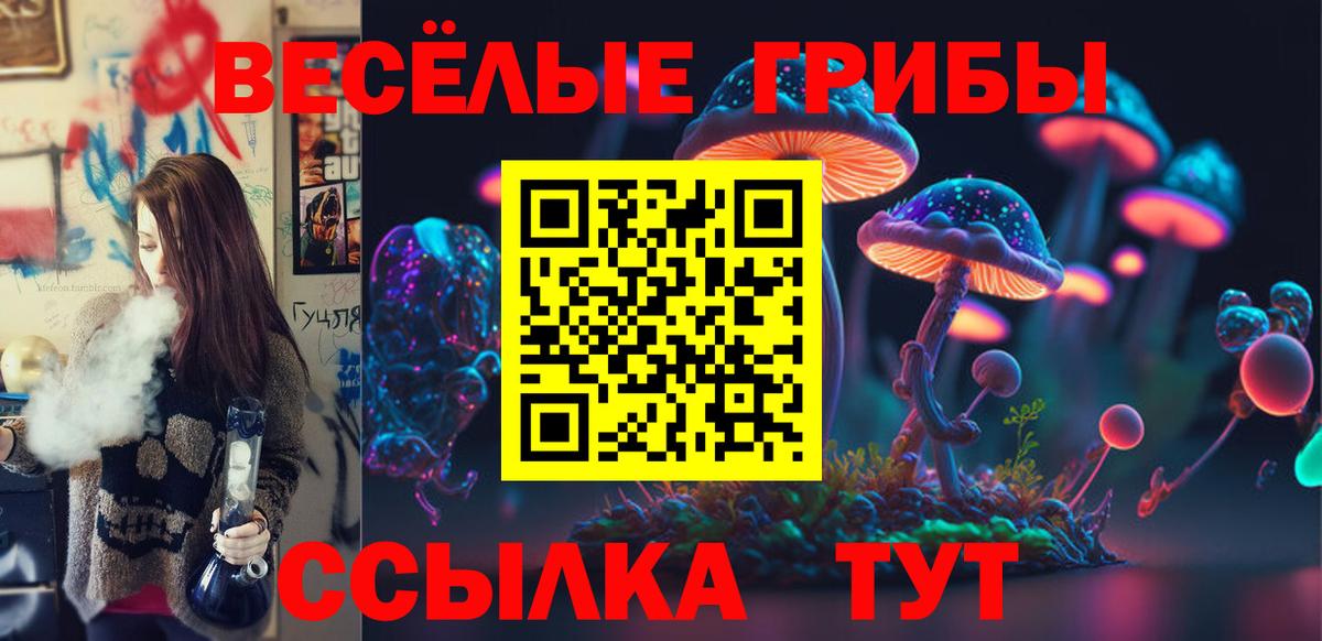 Галлюциногенные грибы Psilocybe  Вход с VPN  наркота  Удомля 