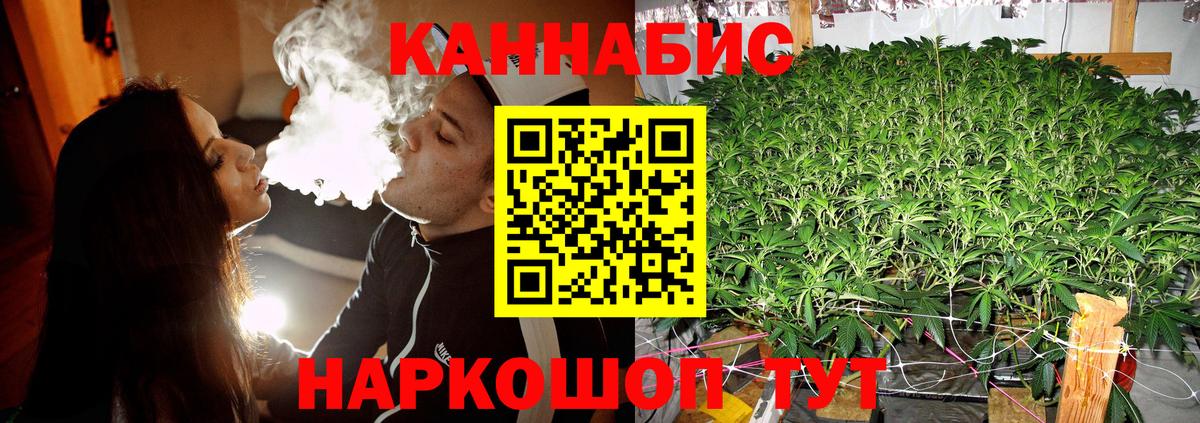 Каннабис семена  Вход с VPN  Бошки Шишки семена  Удомля 